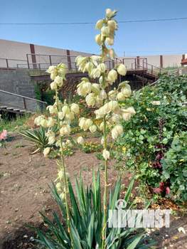 Дом 400м², 2-этажный, участок 15 сот.