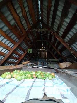 Дача 40м², 2-этажный, участок 6 сот.