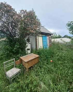 Дача 25м², 1-этажный, участок 6 сот.  