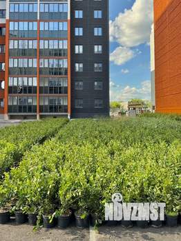 2-к квартира, сданный дом, 59м2, 1/10 этаж